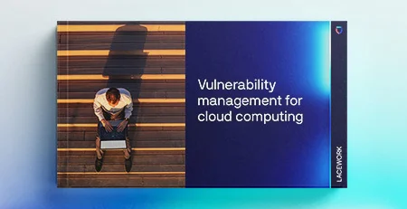 Vulnerability management for cloud computing
