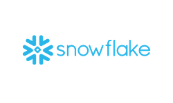 Snowflake Case Study